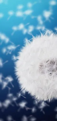 This phone live wallpaper depicts a close up of a dandelion against a blue background