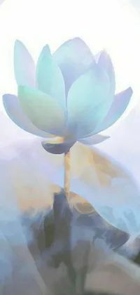 This stunning phone live wallpaper showcases a beautiful white flower placed atop a sturdy rock, creating a serene and calming effect