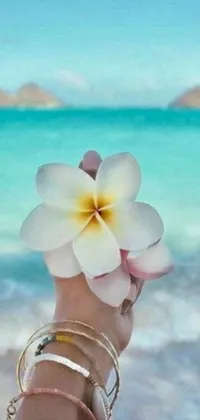 This tropical live wallpaper for your phone showcases a detailed white plumeria flower against the backdrop of a serene ocean