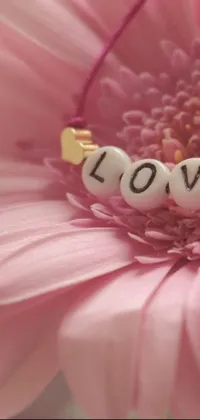 This cute live wallpaper for phones features a beautifully detailed pink flower with the word "love" in elegant script across the petals
