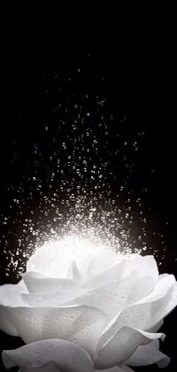 This stunning phone live wallpaper features a mesmerizing digital art of a white flower sprinkled with water, by George Aleef