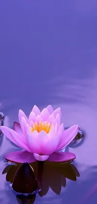 This phone live wallpaper showcases a dainty pink flower gracefully floating atop a serene body of water