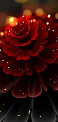 Add a touch of nature to your phone with this red flower live wallpaper