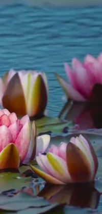 This mesmerizing phone live wallpaper showcases an exquisite group of water lilies floating gracefully atop a serene lake