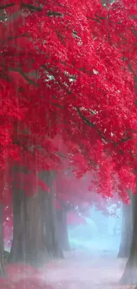 Looking for a mesmerizing live wallpaper for your phone? Look no further than this romanticism-inspired forest scene! The wallpaper showcases lush, red trees and serene surroundings that bring a sense of tranquility to your eyes