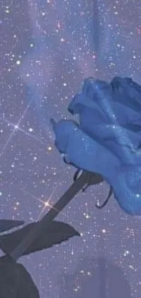 Get lost in the serene beauty of this phone live wallpaper, showcasing a radiant blue rose with a starry backdrop