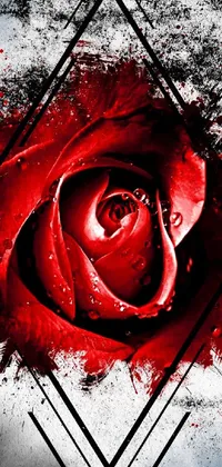 Looking for a captivating and dynamic live wallpaper for your phone? Check out this stunning creation! Featuring a close-up shot of a bold red rose accentuated by complex geometric patterns and intricate details, this digital artwork is a deep and sophisticated piece