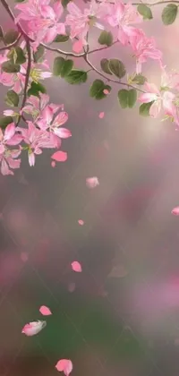 This live phone wallpaper showcases a tree adorned with lovely pink flowers that sway gracefully in the wind