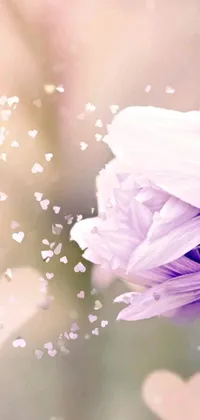 This phone live wallpaper features a beautiful flower surrounded by light purple mist and flying particles
