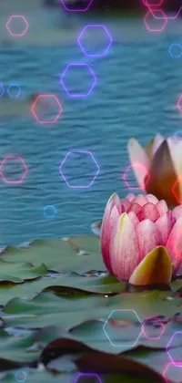 This phone live wallpaper showcases a serene scene of water lilies floating on a calm body of water, enhanced with holographic effects and hexagons for a modern touch