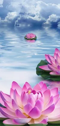 This live phone wallpaper depicts a serene nature scene where a group of pink flowers float atop a calm body of water