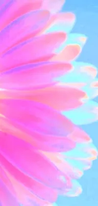 This phone live wallpaper showcases a breathtaking pink flower set against a vivid blue sky