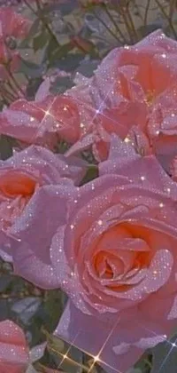 This phone live wallpaper depicts pink roses with water droplets, a vintage album cover, and a glitter gif