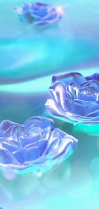 This stunning digital live wallpaper features a close-up shot of beautifully designed blue roses floating on top of a shimmering body of water