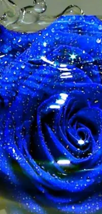 Looking for a stunning phone live wallpaper that will catch your eye? Look no further than this beautiful blue rose with water droplets