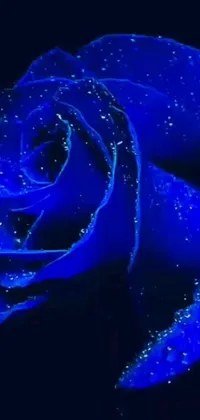 This live wallpaper features a digital artwork of a blue rose with water droplets, surrounded by a blue neon glow and a glitter gif effect