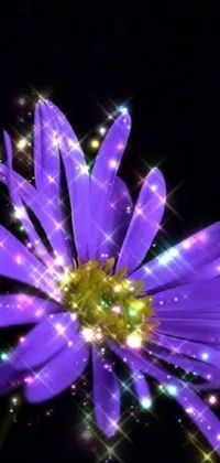 This stunning phone live wallpaper features a detailed close-up of a vibrant purple flower on a sleek black background