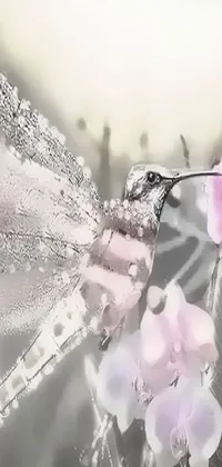 Looking for a captivating live wallpaper for your mobile device? Look no further than this striking digital art featuring a dragonfly on a pink flower