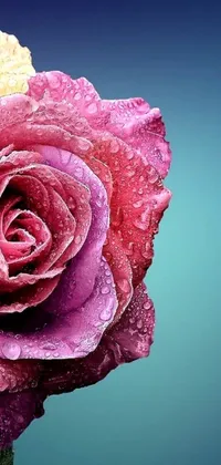 This stunning live wallpaper for your phone showcases a close-up of a flower with small water droplets resting on its delicate petals