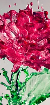 This live phone wallpaper depicts a red rose with glistening water droplets in a photorealistic painting style