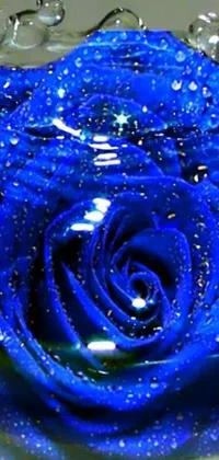 This stunning phone live wallpaper features a close-up view of a blue rose with water droplets