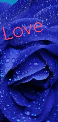 Introducing the Blue Rose Live Wallpaper - a stunning mobile background featuring a vibrant blue rose with "Love" written on it, along with green leaves and a picture of a bride and horse in the background