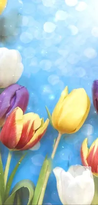 Water Flower Plant Live Wallpaper