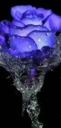 This phone live wallpaper showcases a stunning blue rose in water with surrounding purple lightning
