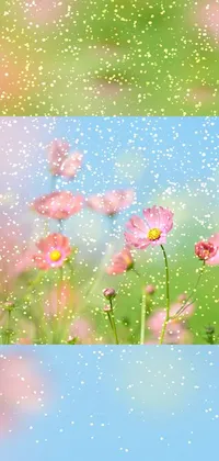 This phone live wallpaper showcases a stunning scene of nature, featuring pink flowers on a green field