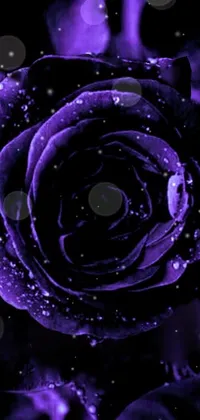 This stunning phone live wallpaper features a mesmerizing digital art rendering of a purple rose, adorned with shimmering water droplets for a hint of romanticism