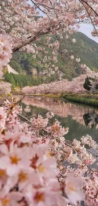 This phone live wallpaper showcases a picturesque scene of a serene body of water adorned by enchanting pink flowers