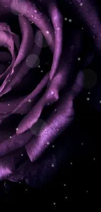 Get inspired with this dazzling close-up live wallpaper of a purple rose with water droplets