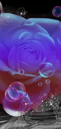 Water Flower Purple Live Wallpaper