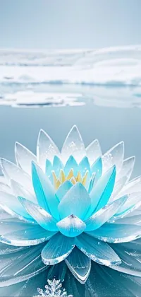 Water Flower Sky Live Wallpaper