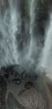 This live wallpaper features a group of majestic elephants standing in front of a stunning waterfall