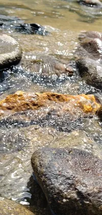 Water Fluvial Landforms Of Streams Bedrock Live Wallpaper