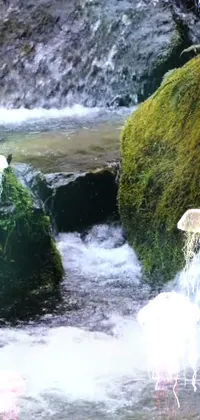 Water Fluvial Landforms Of Streams Green Live Wallpaper