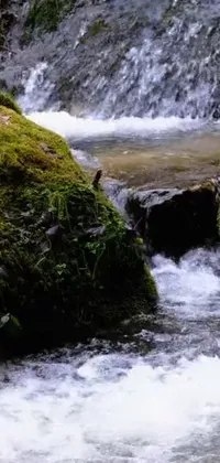 Water Fluvial Landforms Of Streams Natural Landscape Live Wallpaper