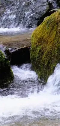 Water Fluvial Landforms Of Streams Natural Landscape Live Wallpaper