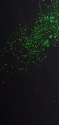 This phone live wallpaper showcases a microscopic image of a cell phone on a black surface, with bright green swirls emanating from it