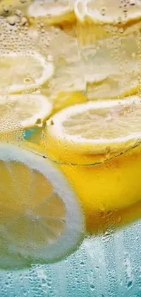 This phone live wallpaper features a close-up shot of sliced lemons swimming in a chilled glass of water