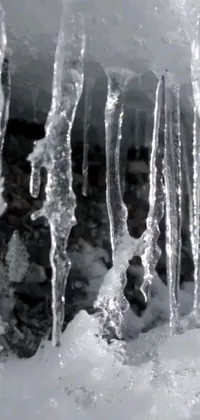 Bring the winter wonderland to your phone with this stunning live wallpaper
