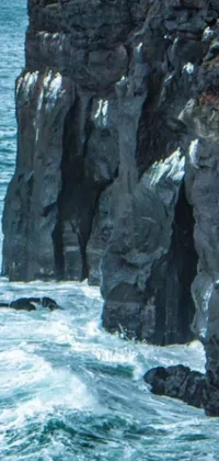 This phone live wallpaper showcases a majestic cliff by the ocean