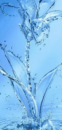Enhance the look of your mobile phone with a stunning water <a href="/flower-wallpapers">flower live wallpaper</a>