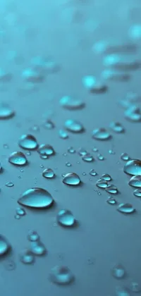 Transform your phone screen to a peaceful oasis with a stunning live wallpaper featuring a close-up of water droplets on a surface