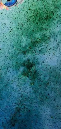 Water Grass Blue Live Wallpaper