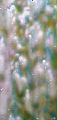 Water Grass Cloud Live Wallpaper