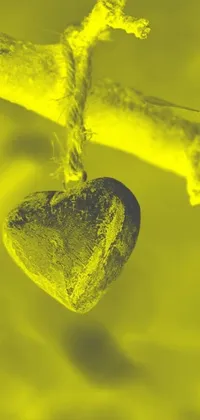 This stunning live wallpaper features a heart shaped stone hanging from a tree branch in a beautiful chartreuse color scheme