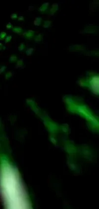 This live phone wallpaper features a green computer keyboard in a close-up view with a microscopic photo-inspired background design