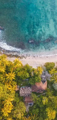 This phone live wallpaper features an aerial view of a serene beach and enchanting palm trees set against a beautiful Sri Lankan landscape